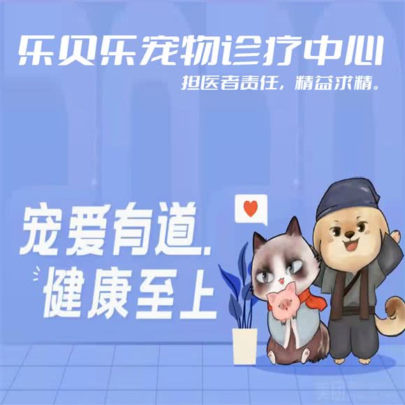 乐贝乐宠物诊所:安康市汉滨区