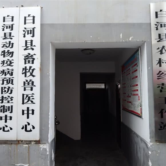 畜牧兽医中心:安康市白河县