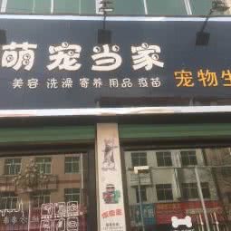 萌宠当家宠物生活馆:商洛市洛南县