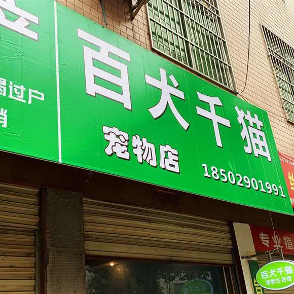 百犬千猫宠物店:商洛市丹凤县