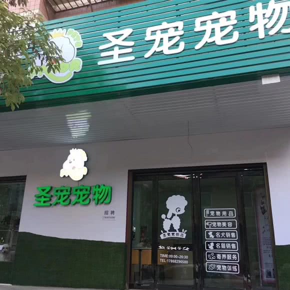 圣宠宠物商南店:商洛市商南县