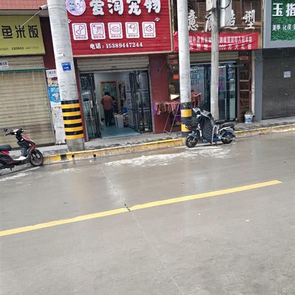 爱淘宠物:商洛市镇安县