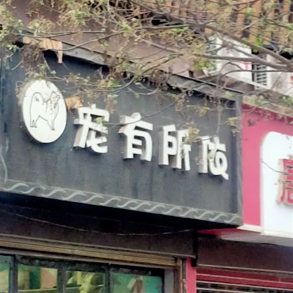 宠有所依:兰州市城关区