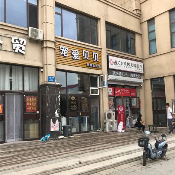 宠爱贝贝宠物生活馆:沈阳市铁西区张士开发区附近