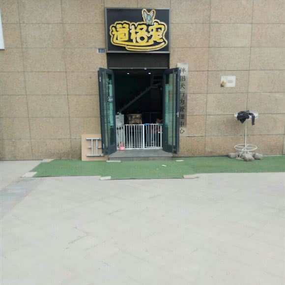 道格宠:兰州市城关区