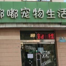 嘟嘟宠物狗生活馆:兰州市城关区
