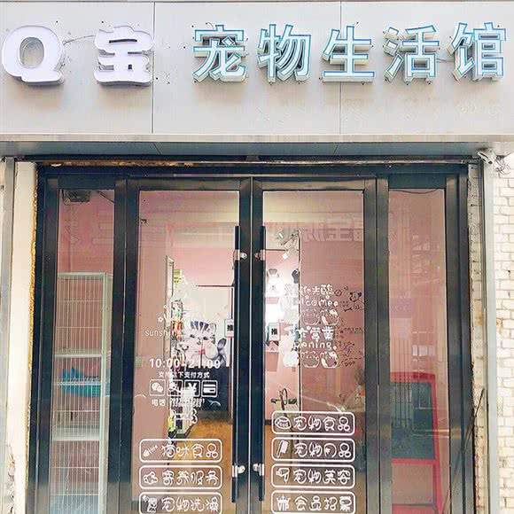 Q宝宠物:兰州市城关区