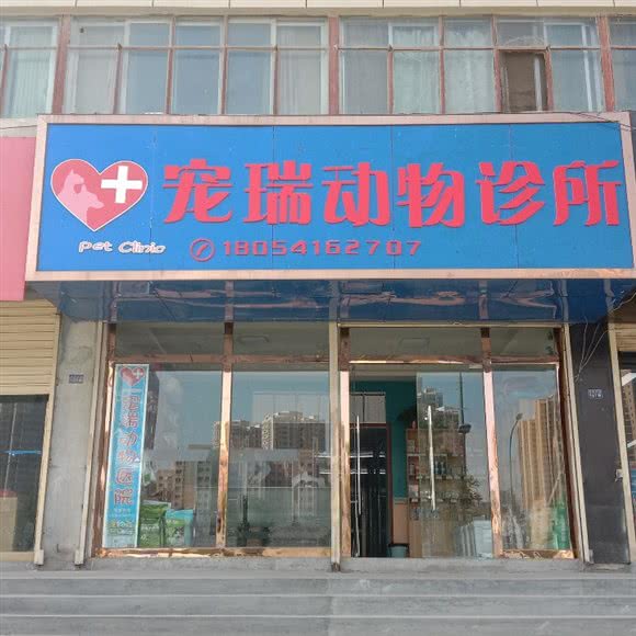 宠瑞动物诊所:兰州市城关区