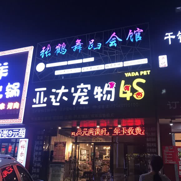 亚达宠物:沈阳市铁西区云峰街附近