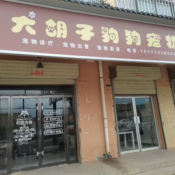 大胡子狗狗宠物:兰州市榆中县