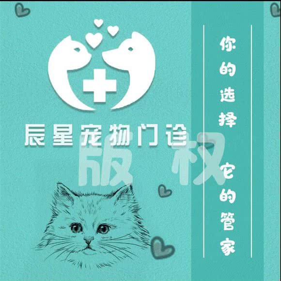 辰星宠物门诊:沈阳市铁西区云峰街附近