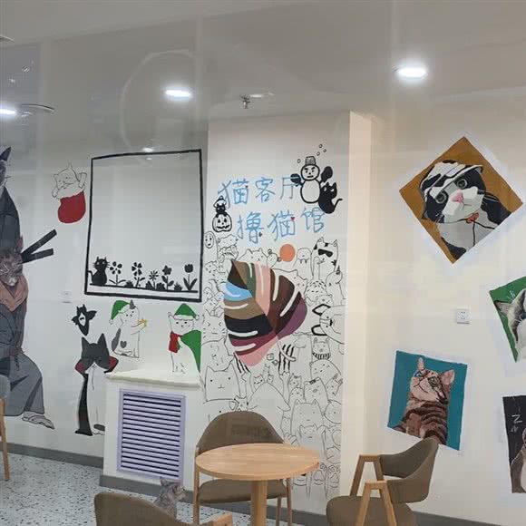 宠小宅宠物服务店:白银市白银区