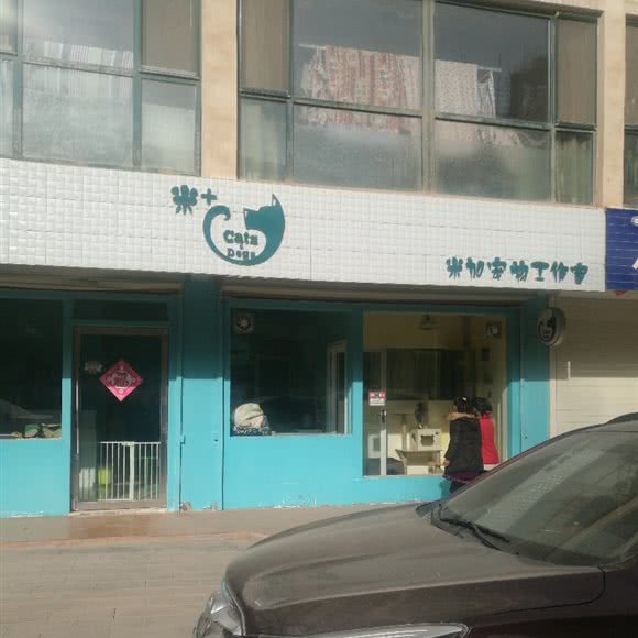 米加宠物工作室:白银市白银区
