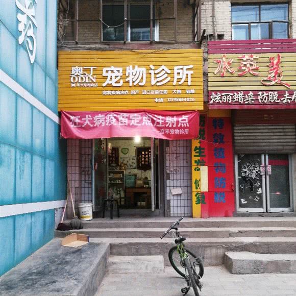 奥丁宠物诊所:白银市白银区