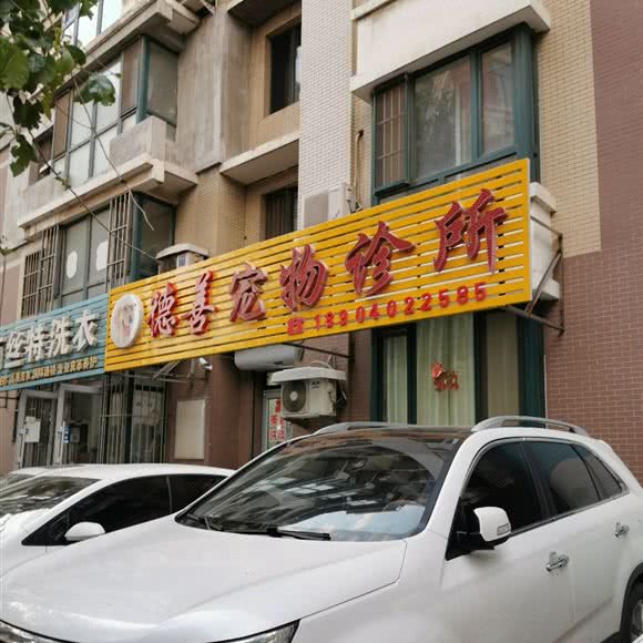 德善宠物诊所:沈阳市铁西区兴工北街附近