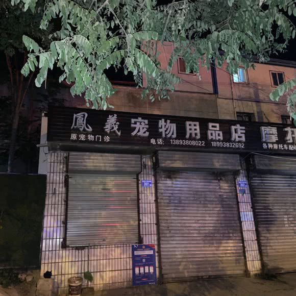 凤羲宠物用品店:天水市秦州区