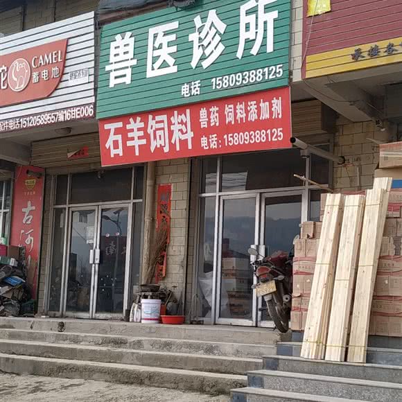 兽医诊所:天水市麦积区