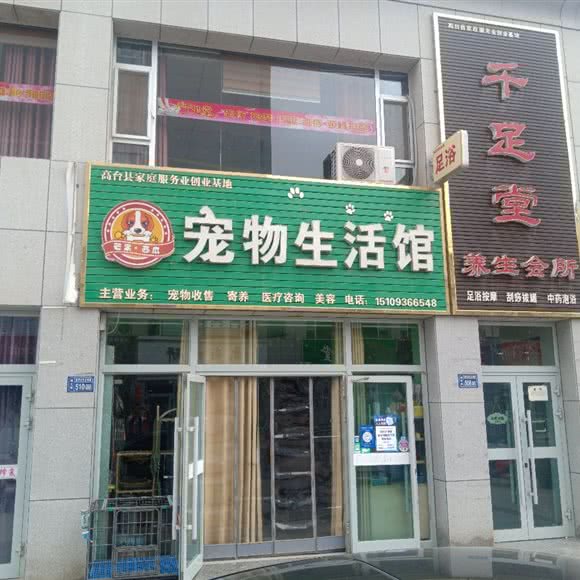 芒果西瓜宠物生活馆:张掖市高台县