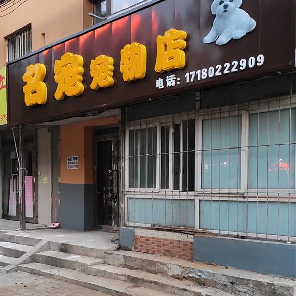 名宠宠物店:沈阳市苏家屯区苏家屯客运站附近