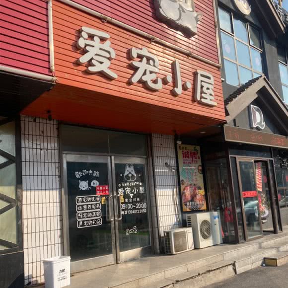 爱宠小屋:沈阳市苏家屯区苏家屯客运站附近