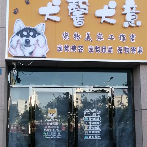 犬馨犬意:酒泉市肃州区