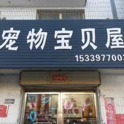 宠物宝贝屋:酒泉市敦煌市