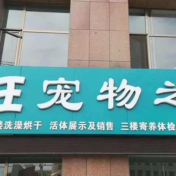 敦煌市汪汪宠物之家:酒泉市敦煌市