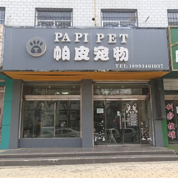 帕皮宠物:庆阳市西峰区