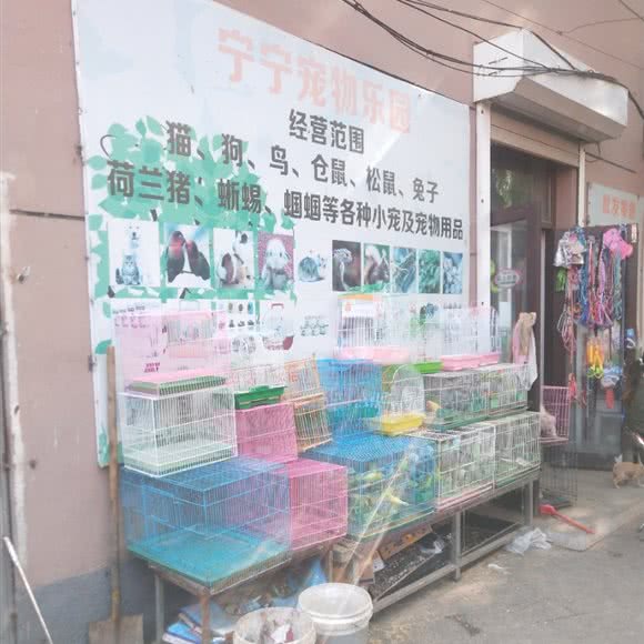宁宁宠物乐园:沈阳市苏家屯区苏家屯客运站附近
