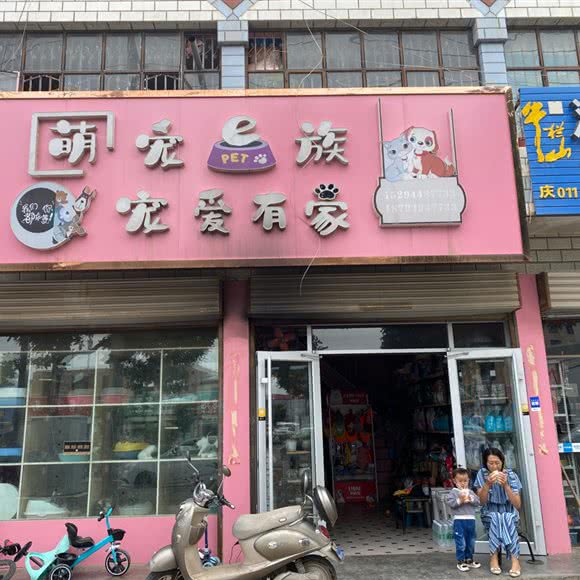 萌宠宠物e族:庆阳市西峰区