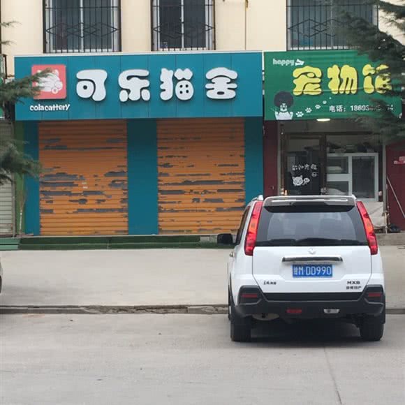 可乐猫舍:庆阳市西峰区