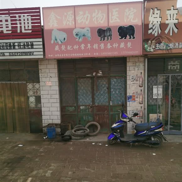 鑫源动物医院:庆阳市西峰区