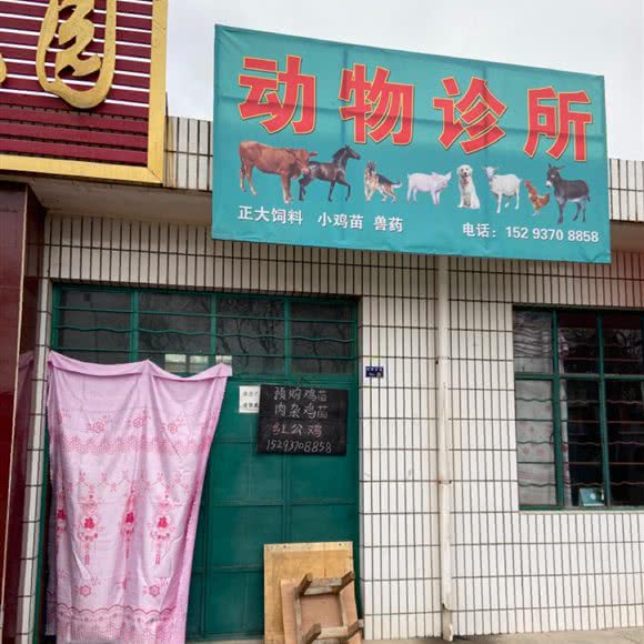 正洋动物诊所:庆阳市西峰区