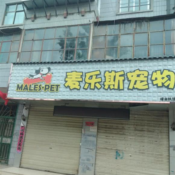 麦乐斯宠物:定西市陇西县
