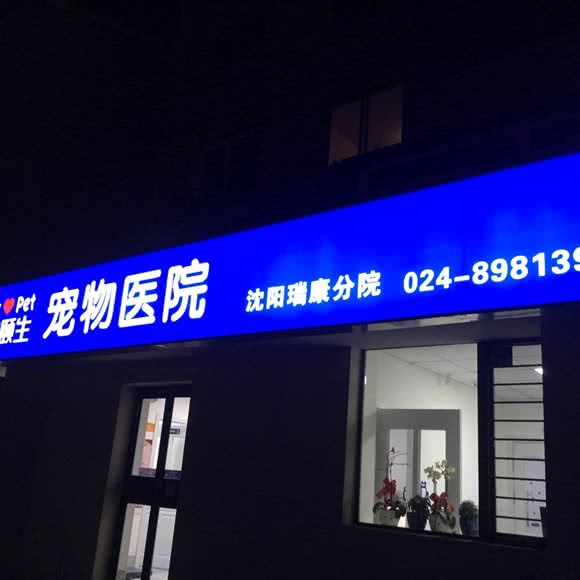 瑞康动物医院:沈阳市苏家屯区苏家屯客运站附近