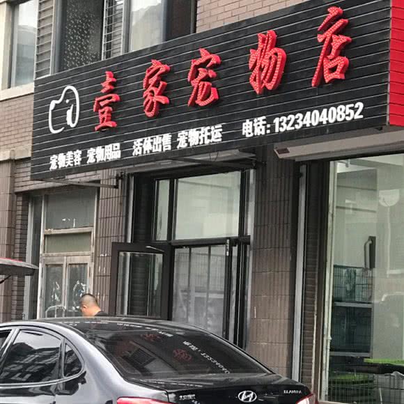 壹家宠物店:沈阳市苏家屯区苏家屯区政府附近