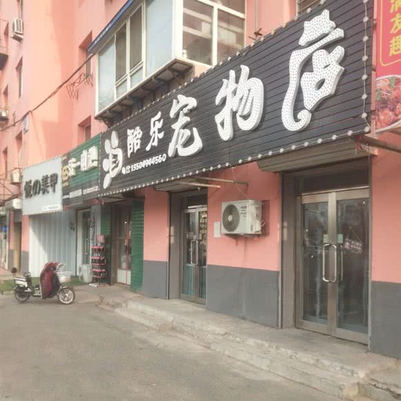 酷乐宠物店:沈阳市苏家屯区苏家屯区政府附近