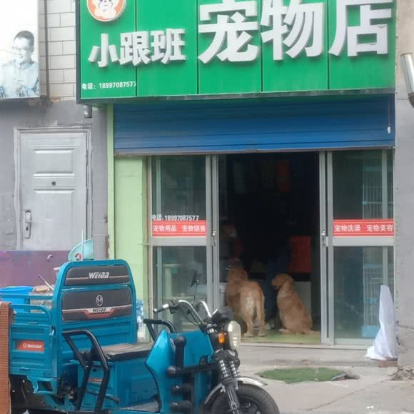 小跟班宠物店:西宁市城北区