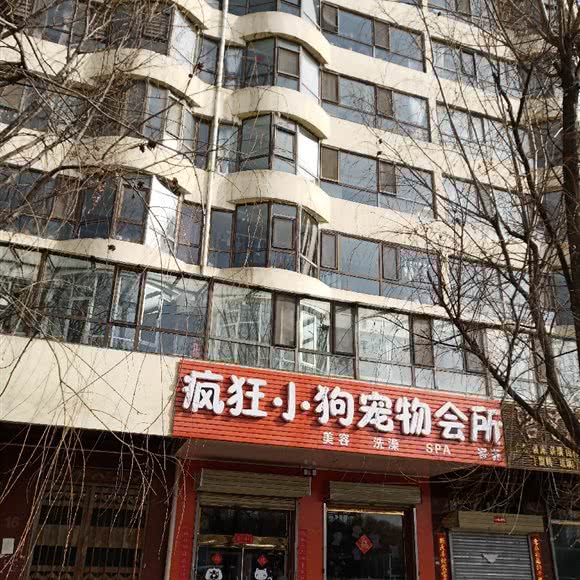 疯狂小狗宠物会所:西宁市城北区