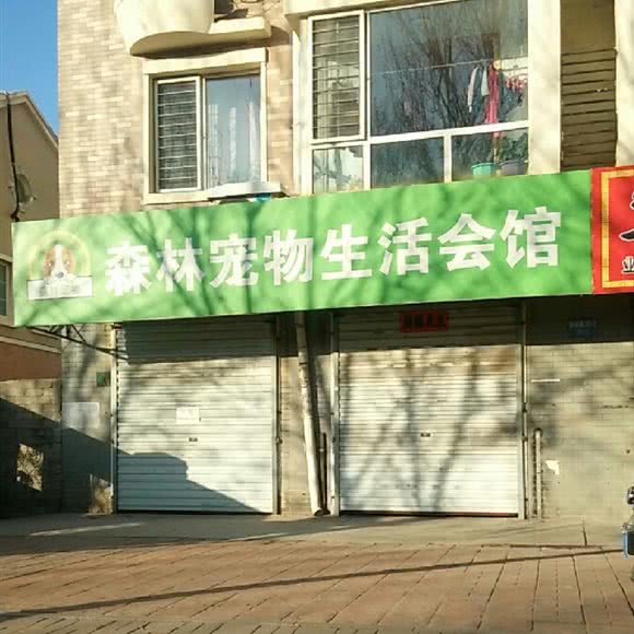 森林宠物生活会馆:沈阳市苏家屯区苏家屯区政府附近