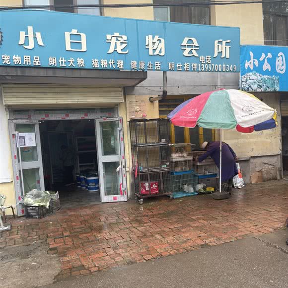 小白宠物店:西宁市大通回族土族自治县