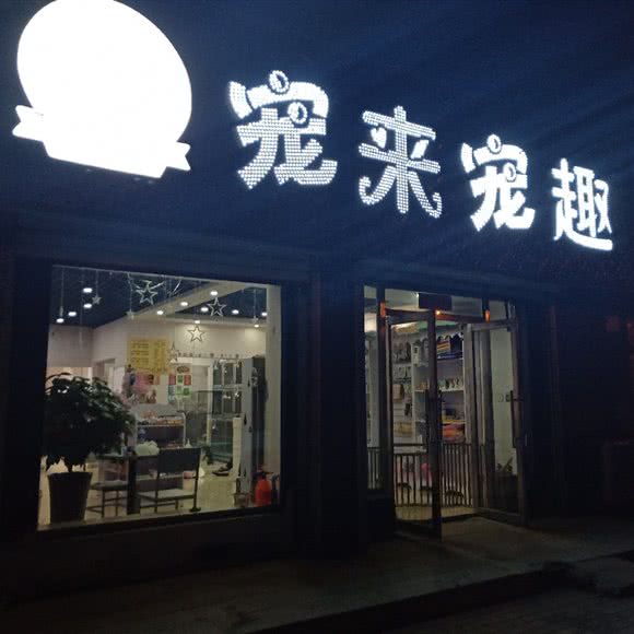 宠来宠趣(雪松路店):沈阳市苏家屯区苏家屯区政府附近