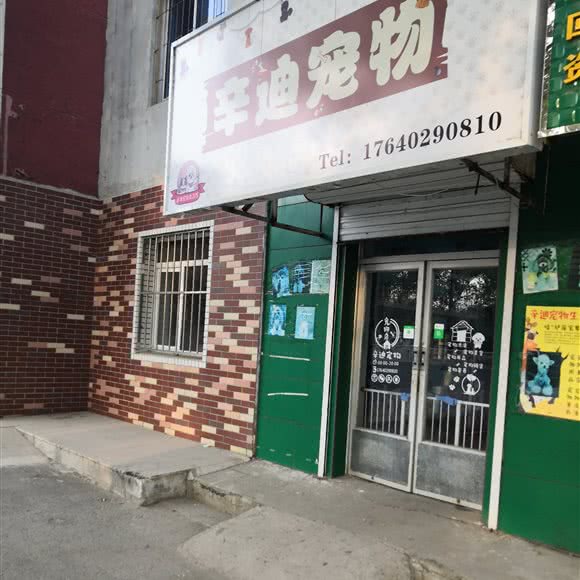 辛迪宠物:沈阳市苏家屯区苏家屯区政府附近