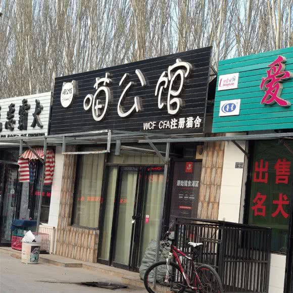 喵公馆:银川市兴庆区