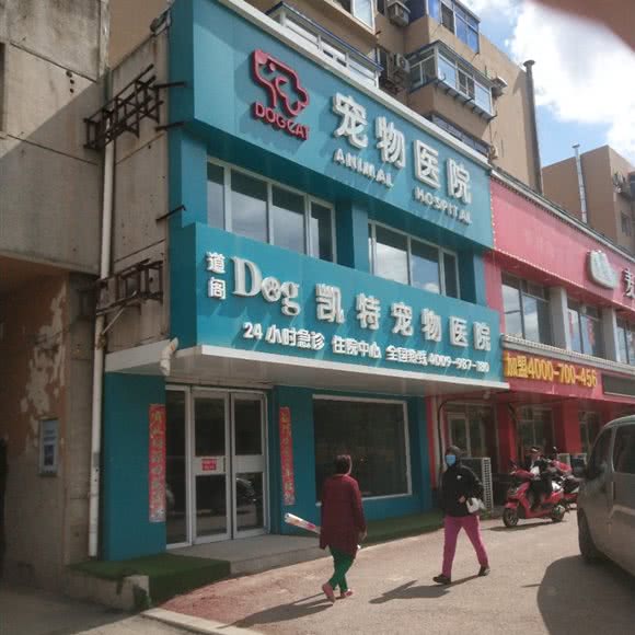 道阁凯特宠物医院:沈阳市苏家屯区苏家屯区政府附近
