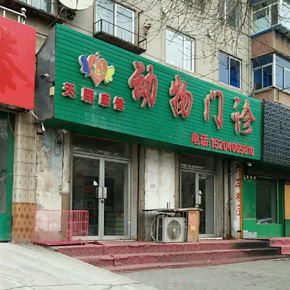 天赐康健动物医院:沈阳市苏家屯区苏家屯区政府附近