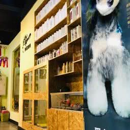 美西宠美宠物美容店:沈阳市浑南区浑南新区附近