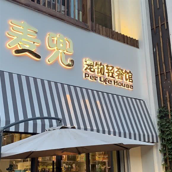 麦兜宠物生活馆:沈阳市浑南区浑南新区附近