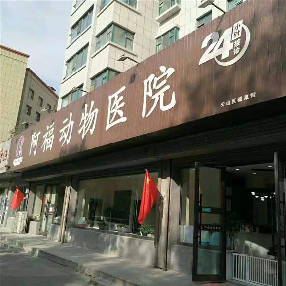 阿福动物医院:乌鲁木齐市天山区