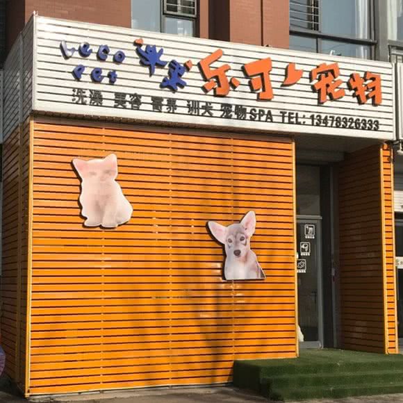 乐可宠物:沈阳市浑南区浑南新区附近